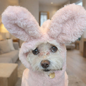 食の細さに悩んでいた日々が、「おかわり！」に変わって。ひめちゃんと見つけた、わが家の食卓の変化