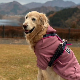 ドッグダンスを愛する11歳のモアナちゃん。薬膳を“美味しく”取り入れる健やかな日常へ