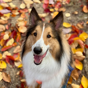 腎臓の健康が気になっていた日々の中で。「食べることは生きること」薬膳との出会い