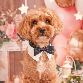 食の細さに悩んでいた日々が、楽しみなごはんへと変わり。ソルくんと過ごす、やさしい食事の時間